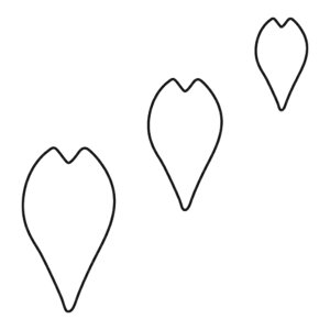   ̉Ԃт 3PCi077008j07-0302-0504ؔ^ؔ^ ^  TN  