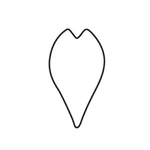   ̉Ԃт  i077122j07-0302-0503ؔ^ؔ^ ^  TN  