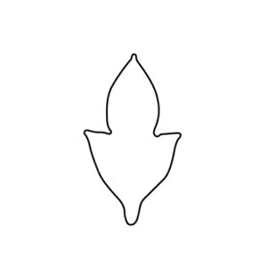   O  i077126j07-0304-0702ؔ^ؔ^ ^ ٗp^ p