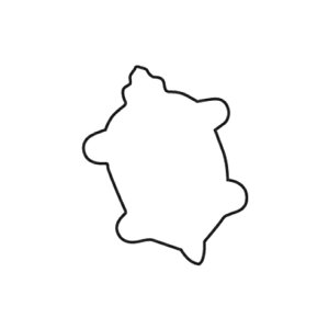   T  i078072j07-0304-0402^ ^ XeX ؔ  J