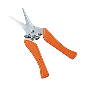 ST ֗nT~ik-084031j07-0220-1701\oT~ nT~  ʐ؃nT~ ؂ꖡQ