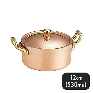  v`p t 12cm 530cci010069j07-0551-1305Ɩp