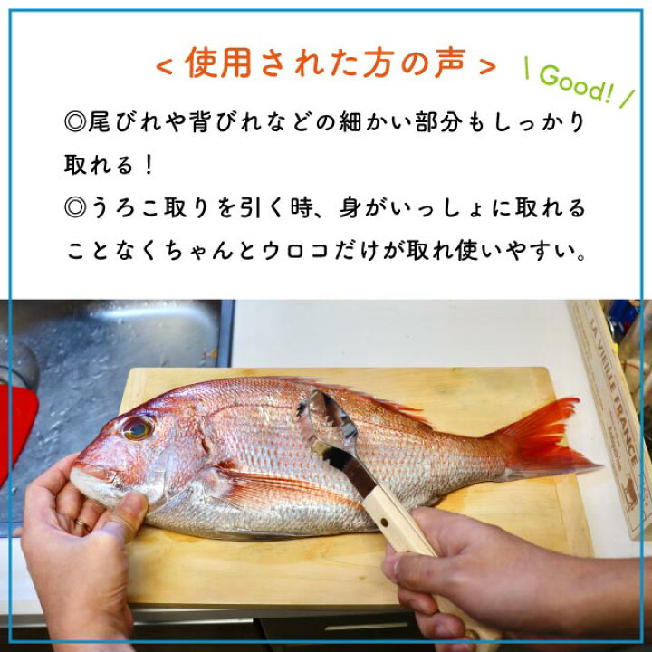 楽天市場 送料無料 新案ウロコ取り バラ うろこ取り 魚 鱗 ウロコ取り Annon キッチン 業務用食器