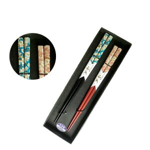 [|Cg10{] MARUZEN/}[ vwEƑV[Y aTN vwZbg i22.5/21cmji8-5-2j{ Mtg