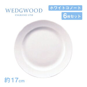 EFbWEbh tbgv[g 17cm 6Zbg zCgRm[g WEDGWOODi536100-3109jv[g H ƖpH