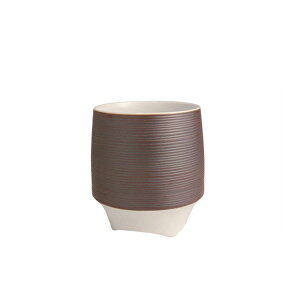 KIHARA u K؁iLj+ pϔi429L-125j Mtg