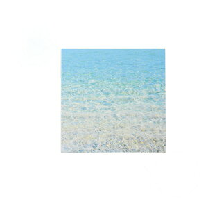 【送料無料】懐石盆 尺0.5寸 角雅 海裏白塗 和美作日 Wabisabi（3-042-04)盆 多色印刷