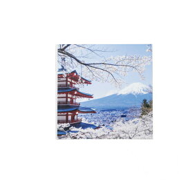 懐石盆 尺0.5寸 角雅 桜と富士山裏白塗 和美作日 Wabisabi（3-043-01)盆 多色印刷