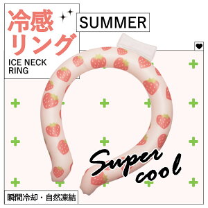 ySale100~OFFzyڋʏiz2025Vi ACXN[O lbNN[[ ACXlbNO lbNO N[oh ⊴O Ђ PCM N[O qp ΍