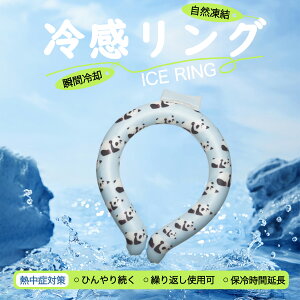 y24h聚ň620~`zAR PCM 12ԕۗ N[O ЂObY ACXlbNO N[lbNO | lbNN[[  pO