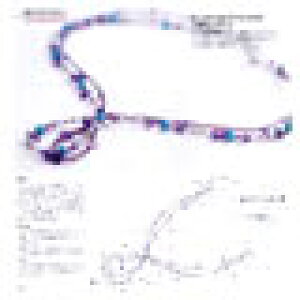 yЁ^r[YE{bNX@pLbgził͂܂P26 ^[RCYAWXg̓AlbNX