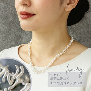 yiz^ɉ߂ 󏭃cm^Cv ^lbNX 40cm Of[Vd