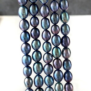 Wp[iCXju[傫@7`8.5×6`7mma@0.4`0.5mm1A@39cm@45