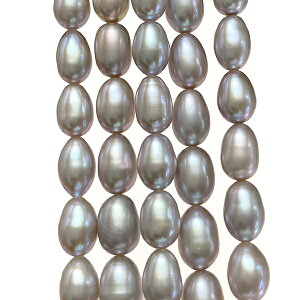 Wp[iCXjO[傫@8`9.5×6`6.2mma@0.4`0.5mm1A@39cm@44`47