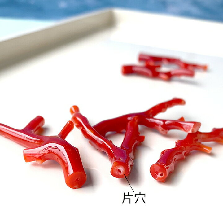 楽天市場】血赤珊瑚レッドサンゴ（枝）A〜F大きさ 約36〜45×13〜27mm穴 