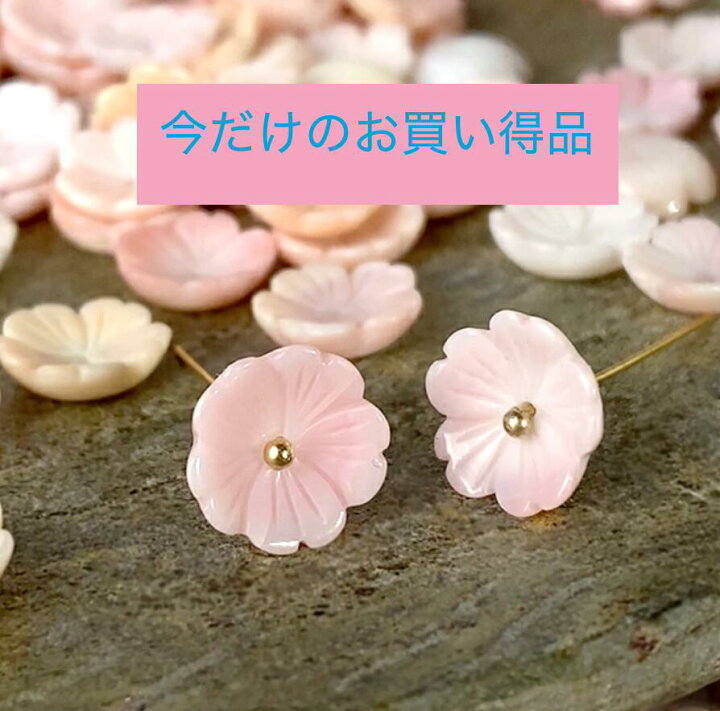 楽天市場】シェル 貝クイーンコンクシェル（桜 さくら サクラ）大きさ 