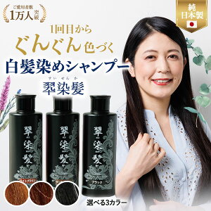 男性用 シャンプー ヘアカラーの人気商品 通販 価格比較 価格 Com 男性用 シャンプー ヘアカラーの人気商品 通販 価格比較 価格 Com
