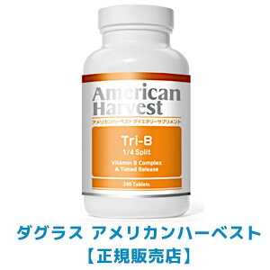 �A�����J���n�[�x�X�g �g��-B 1/4�X�v���b�g(240��) �r�^�~��B�Q 21993-240X �T�v�������g [�_�O���X �A�����J���n�[�x�X�g���K�̔��X][�P�i][4562165488902]