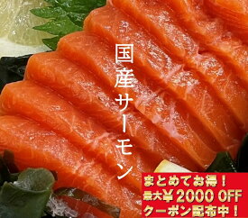国産サーモンフィレ1枚【クーポン配布中】