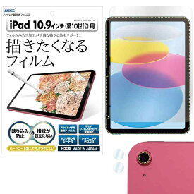 ASDEC iPad 10.9インチ （2022年モデル / 第10世代） フィルム カメラフィルム 反射防止 アンチグレア 日本製 防指紋 気泡消失 映込防止 NGB-IPA19/アイパッド10.9インチ タブレット 保護フィルム ノン