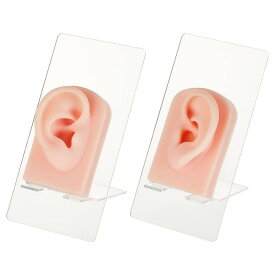 2個 シリコン模型 耳模型 耳モデル シリコンモデル リアル耳模型 両耳 ダミー 耳鍼 縫合 練習 絵画 美術 アクセサリー ウィンドウディスプレイ ピアス飾り イヤリング スタンド付き