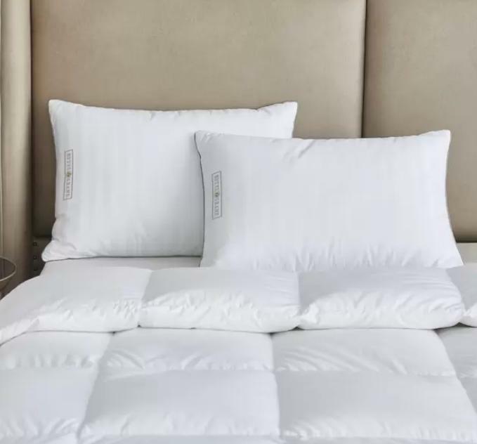 ホテル グランド ダウンフェザー 枕 2個セット クッション ピロー リビング 寝室 ベッド ソファー 上質 コストコ商品  COSTCALL364