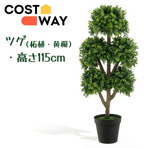 COSTWAY tFCNO[ cQ 115cm lHϗtA tFCN O[ tFCNc[ ϗtA tFCN  ֐ rO xbh[ JtF  k ѐA tFCN hz10173gn