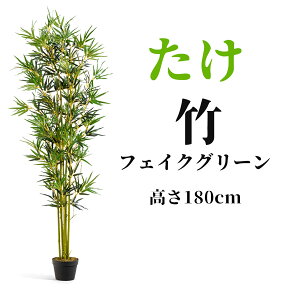  lH  | ϗtA 180cm tFCN ^ tFCNO[  lH tFCNA G} CeA  O sv ͂Ȃ