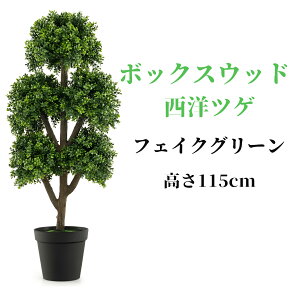  lHϗtA {bNXEbh mcQ 115cm tFCNA tFCNO[ ^  G} CeA lH ϗtA ϗt A A ȒP? sv C Q