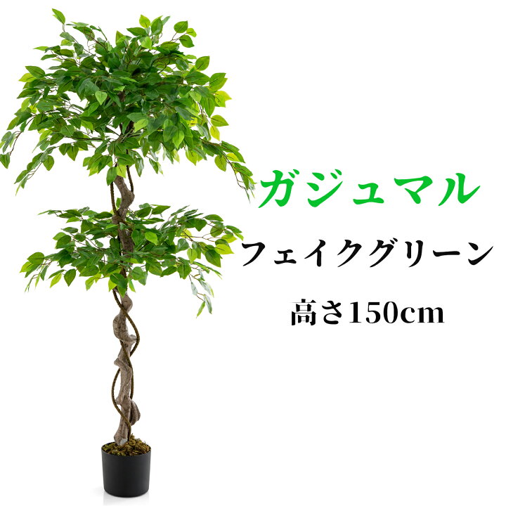 楽天市場】送料無料 人工 観葉植物 ガジュマル 150cm フェイク 大型 