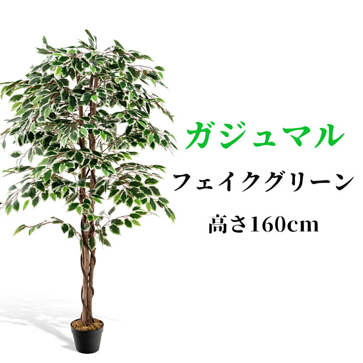 楽天市場】送料無料 人工 観葉植物 160cm ガジュマル フェイク 大型  
