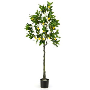 COSTWAY lH ϗtA tFCN 160cm ̖ tFCNO[ lHϗtA  CeA  O tFCNA lH ϗtA sv ͂Ȃ ~͐A (160cm-)