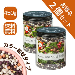 yzKOSEME L@薜\엿 8-8-8 450g×2ZbgbR[eBO 3 Ɍ L@A~m_zb؁ÉEEϗtAEԗpbN-P-K oX A / | Eǔ