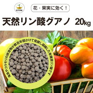 【送料無料】天然リン酸グアノ-20kg
