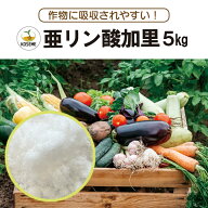 【送料無料】亜リン酸加里-5kg