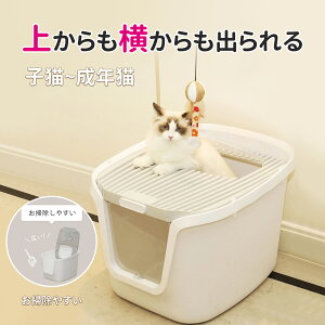 _Gg[Ń|Cg5{lI^ kamelun LgC 傫 lRgC tJo[ ˂gC h[ c[hALgC LgC ^ ォ qL LbggC ̔юUh~ Lp