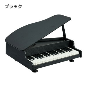 kamelun qǂ sAm 2 ~jsAm  OhsAm  K ؐsAm V q sAm c Ԃ piano S y xr[  y qpߋ ̎q j̎q M