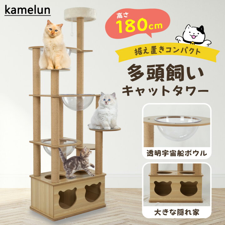 楽天市場】【楽天スーパーSALE 最大2000円OFF】 kamelun キャット  