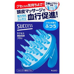 yԉzysuccesszTNZX uV ӂ 1yPAzypuVz