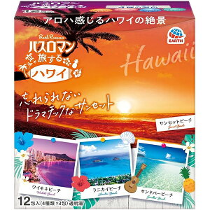 yA[Xz oX}  lߍ킹 nC  򐬕 f 12y܁zyoX}z