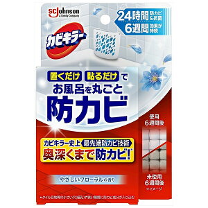 yW\zJrL[ CɒuhJrWF@y₳t[z {́@8mlyCzyhJrzyJrL[z