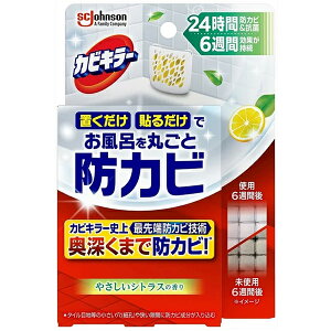 yW\zJrL[ CɒuhJrWF@y₳VgXz {́@8mlyCzyhJrzyJrL[z