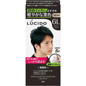 y}_zLUCIDO(V[h) vbVPAJ[CgubNy߁zy򕔊OizyYzypwAJ[z