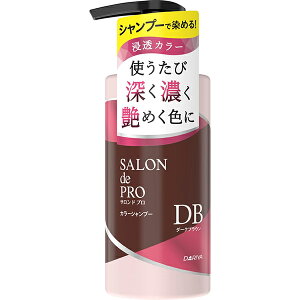 �T�����h�v�� �J���[�V�����v�[ �y�_�[�N�u���E���z�@300ml�y�����P�A�z�y�����p�z�y�J���[�V�����v�[�z�yDARIYA�z