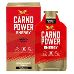 li Jmp[ENERGY GINGER ALE FlavorCaffeine{yWWG[z1i40g×10jJmV@AX[g@GiW[WF@GlM[⋋