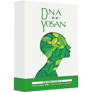 �t�_��ӈ�`�q�����L�b�g(���o�S���p)�y�t�_��ӈ�`�q�����L�b�g�z�y���������z