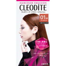 楽天市場 ローズ ピンク 箱 全体染め用 白髪染め ヘアケア スタイリング 美容 コスメ 香水の通販