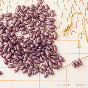 `FRr[Y y2.5x6mm 6g 80z CWxKp[v ] CX KX r[Y Ar[Y A161