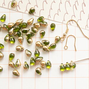 `FRr[Y y4x6mm 48zyhbgO[S[h hbv  r[Y H069