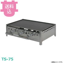 楽天市場】ts－60 鉄板の通販